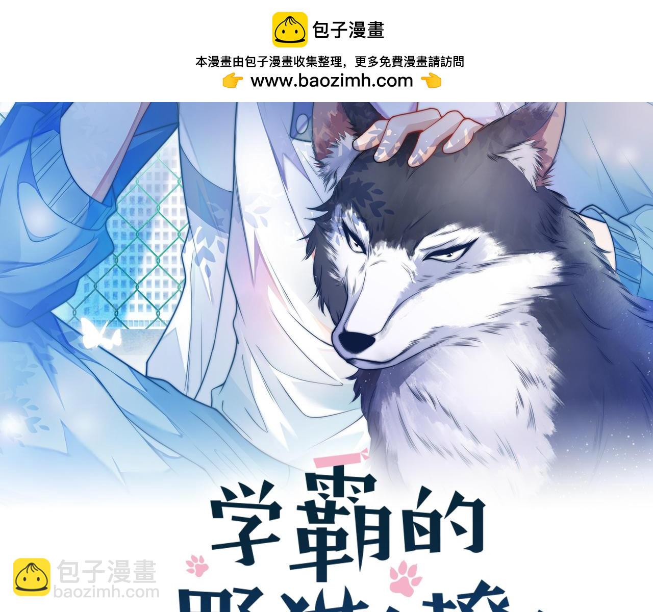 第77话 贴贴猫猫(1/2)-第78话