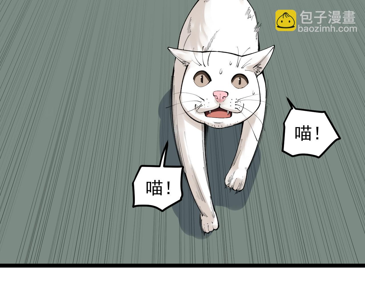 第146话 钦定人选(1/2)-第150话