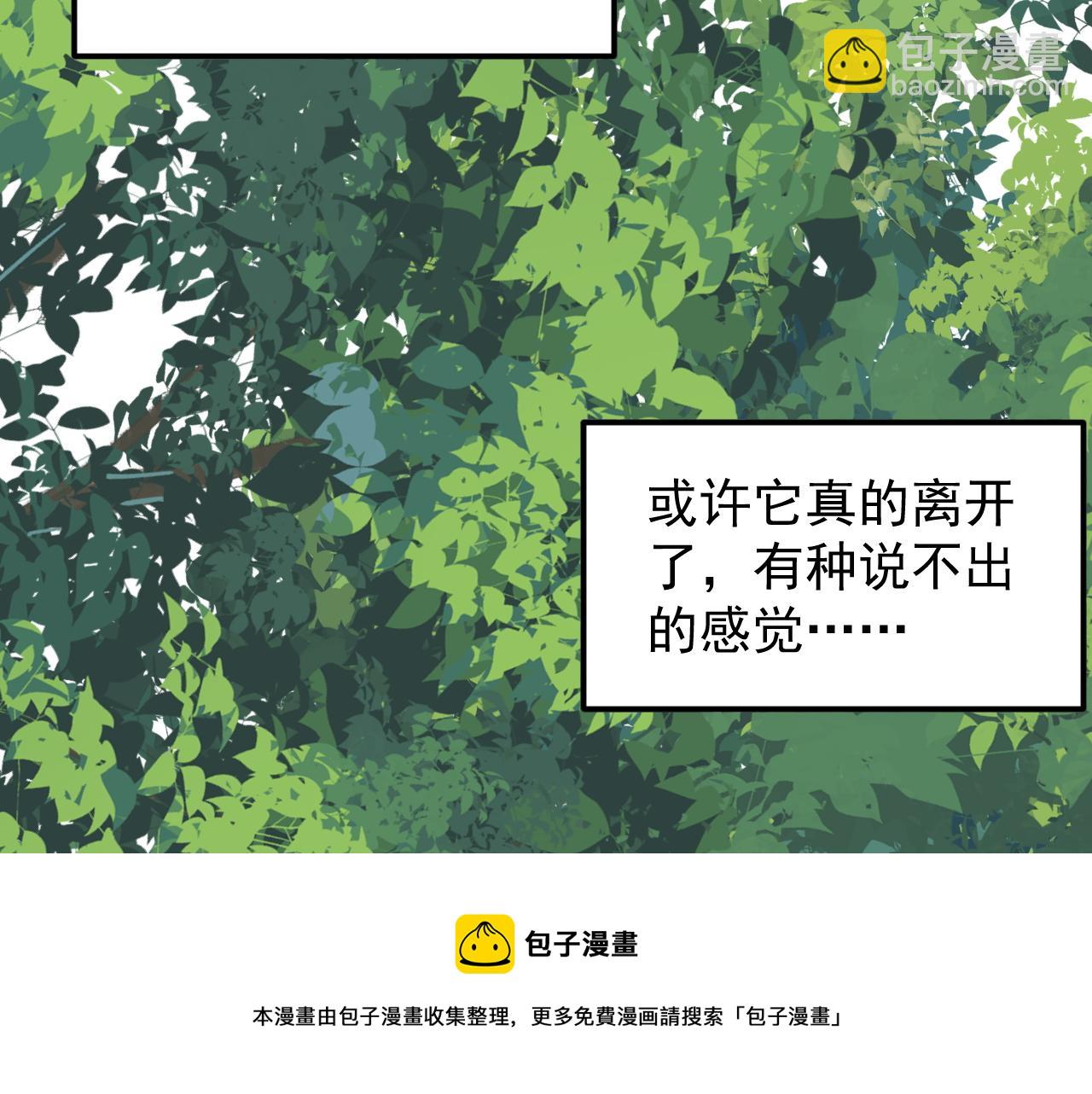 第164话 出国(1/3)-第168话