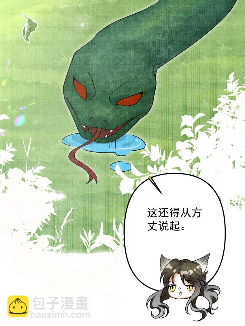 050 禁止投喂我的猫！(1/2)-第54话