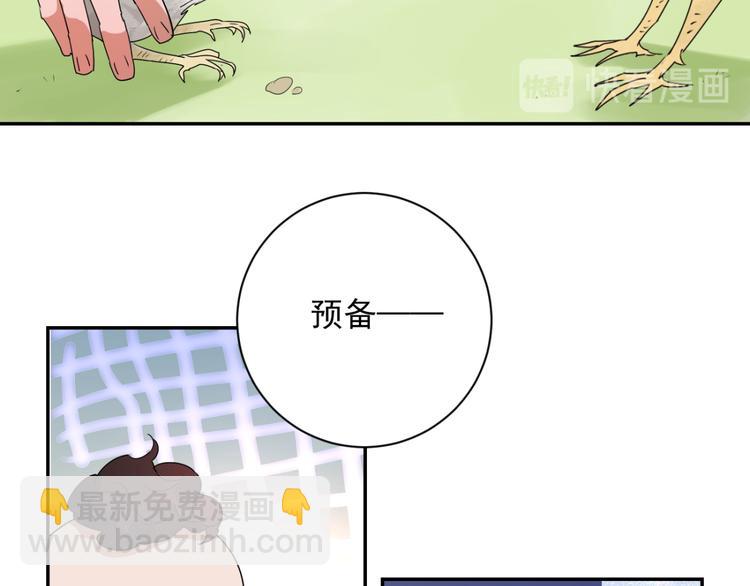 第2话 斗鸡（二）-第2话