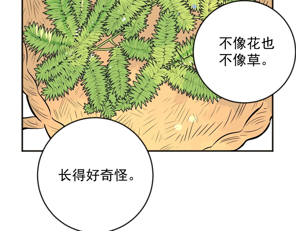 第146话 赌王之子（二十二）(1/2)-第148话