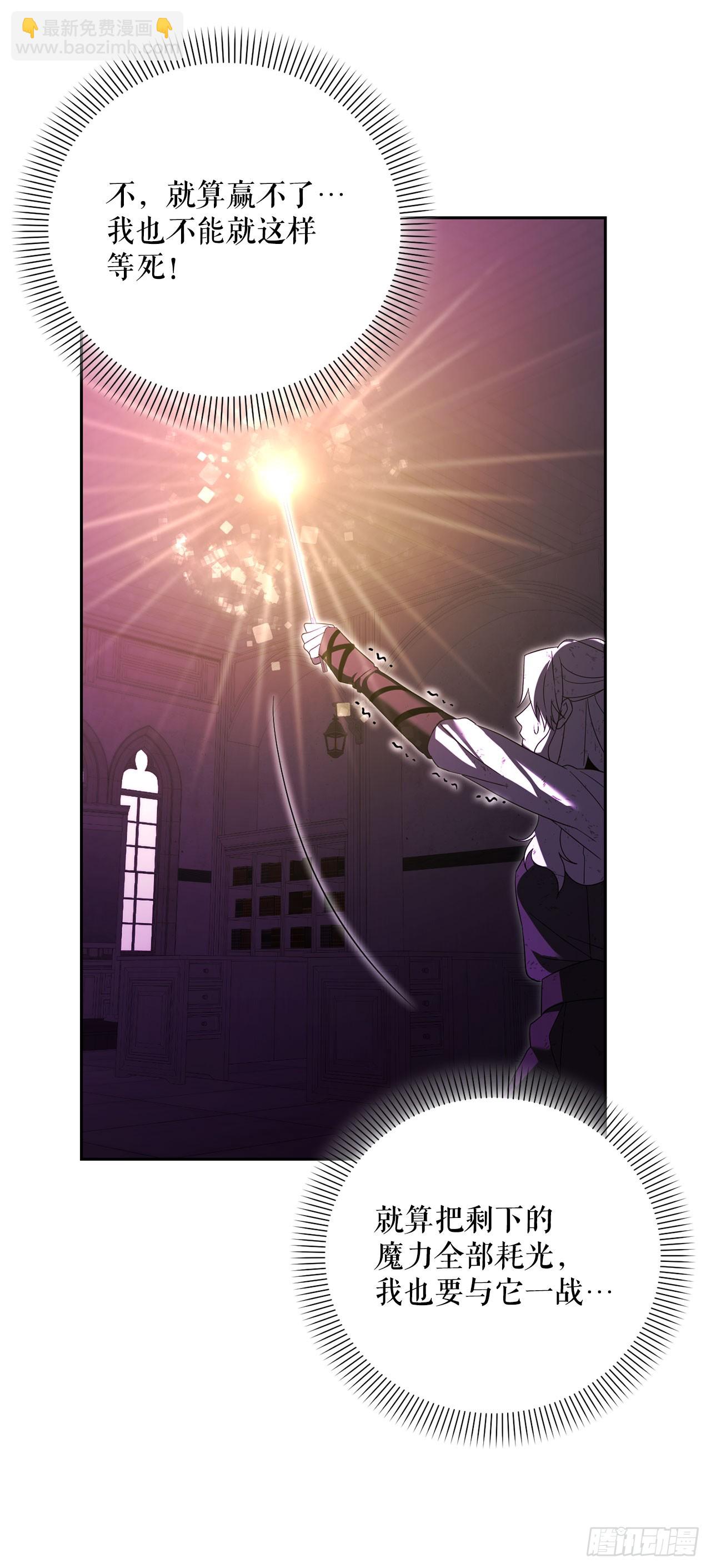 25.神秘驯兽师(1/2)-第26话