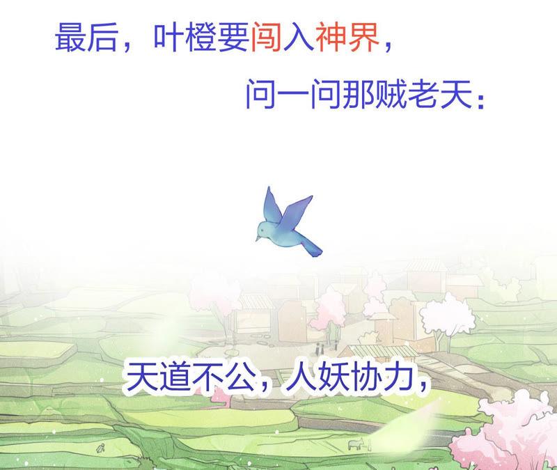 预告-第36话
