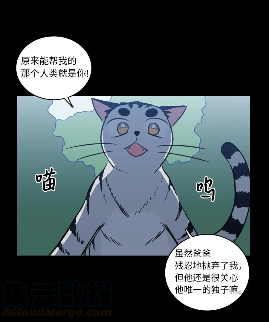 41 特别的力量-第42话