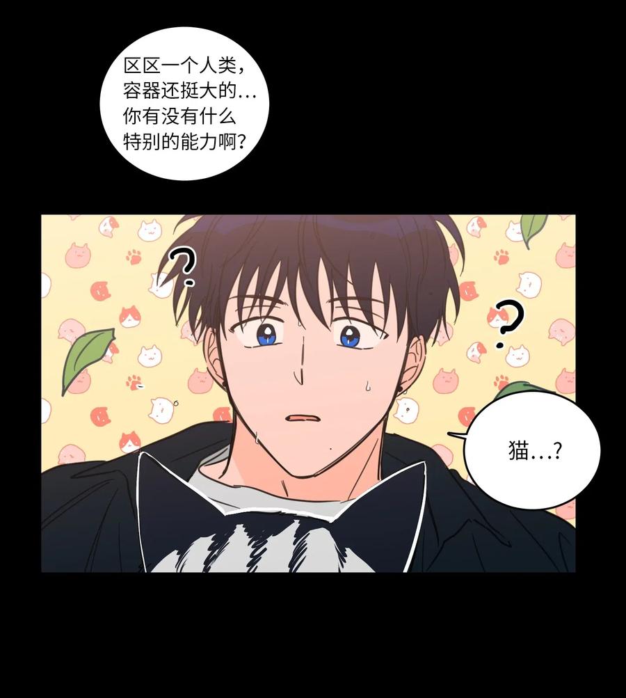 41 特别的力量-第42话