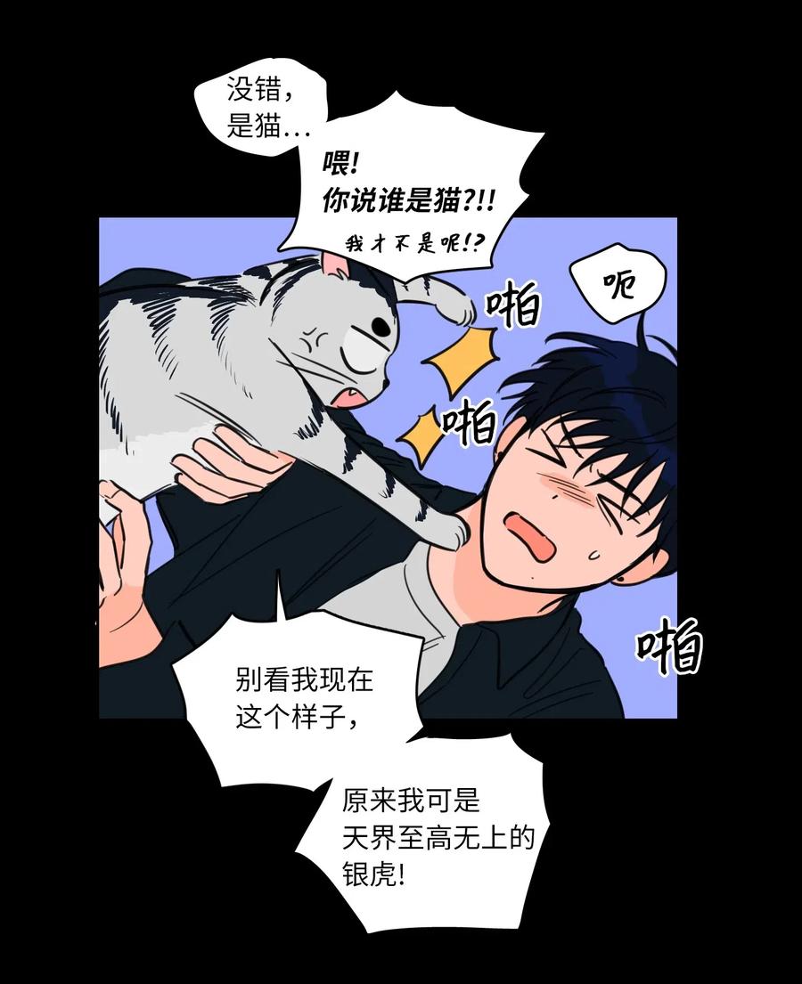 41 特别的力量-第42话