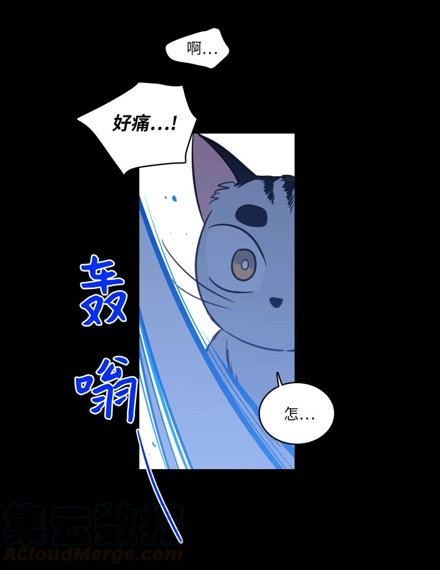41 特别的力量-第42话