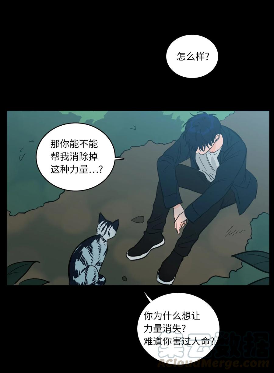 41 特别的力量-第42话