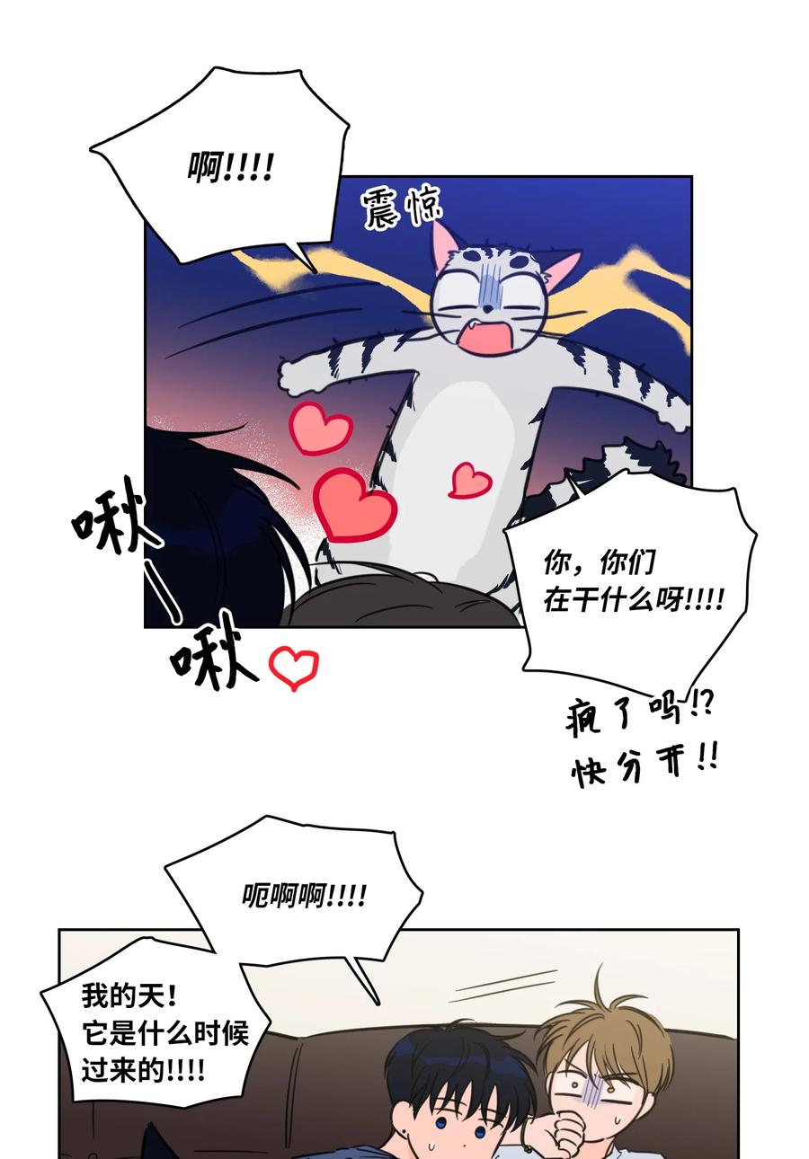 43 未知来电-第44话