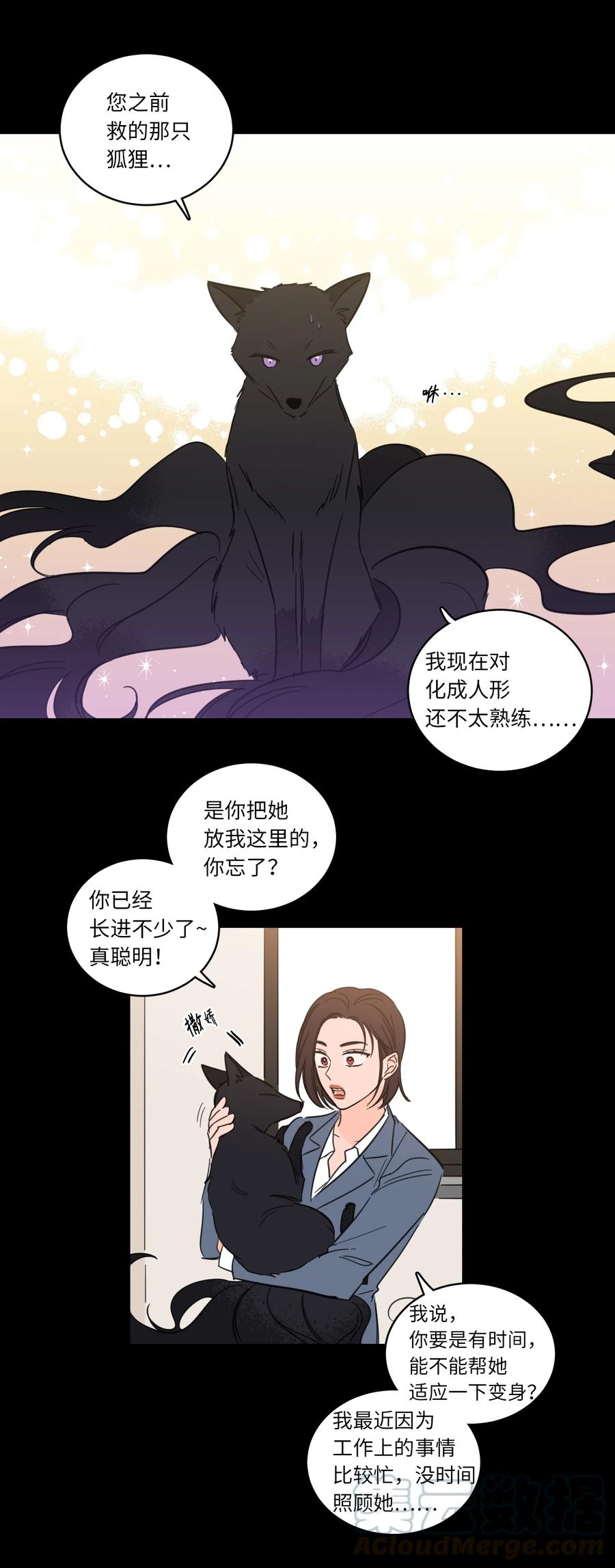 49 狐狸-第50话