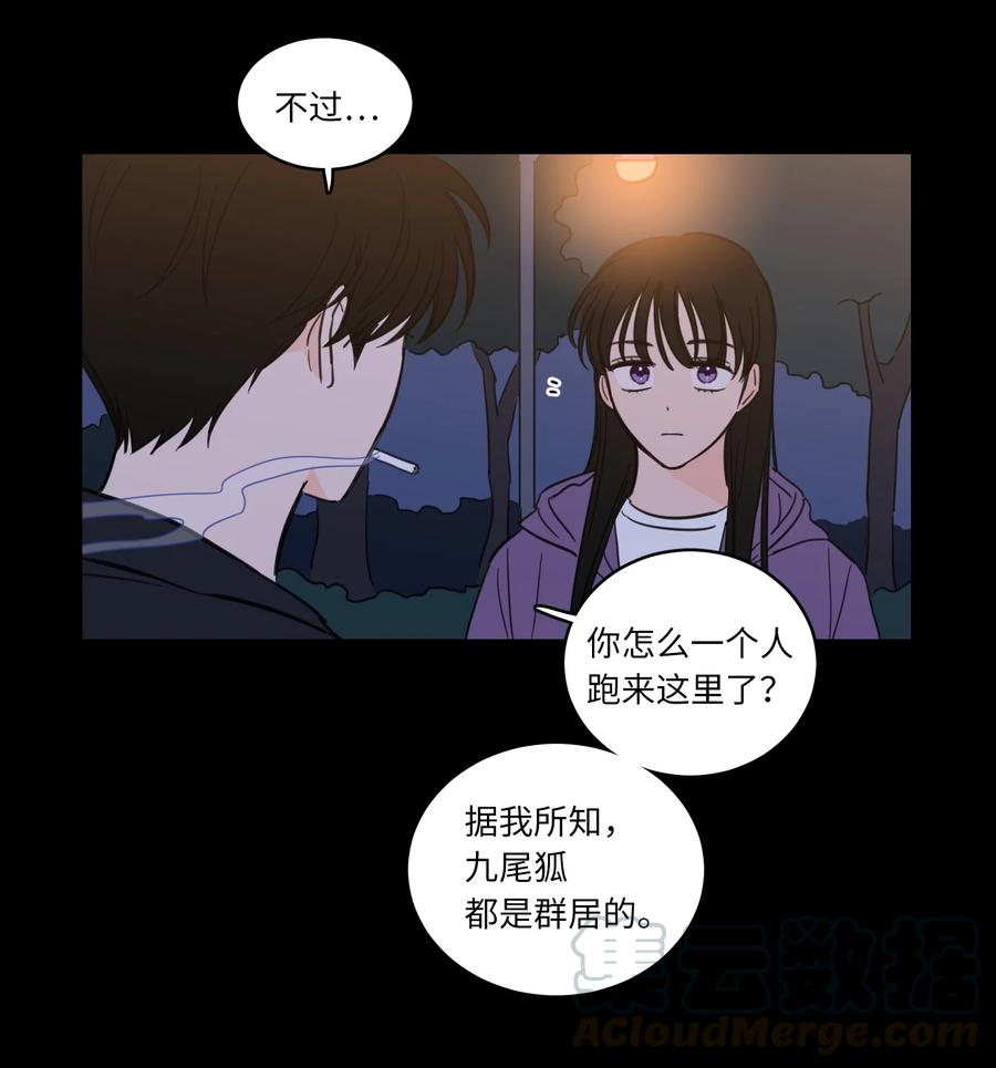 49 狐狸-第50话