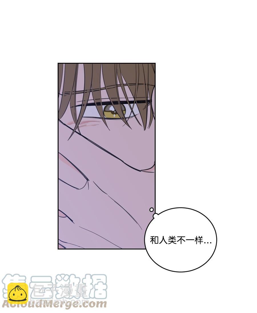 51 哥哥的谎言(1/2)-第52话