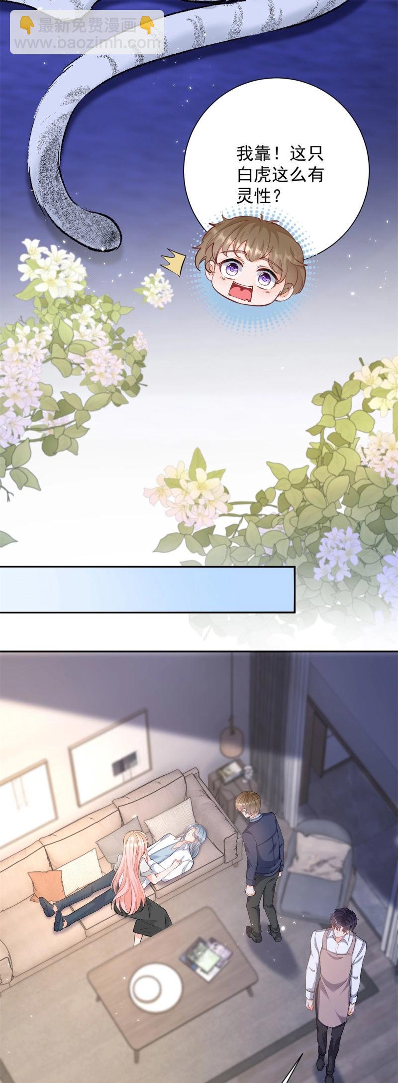 第402话 第395话 白虎-第398话