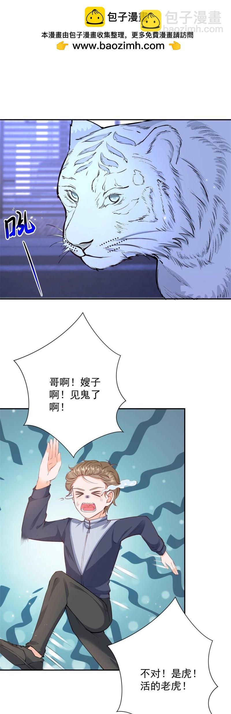 第402话 第395话 白虎-第398话