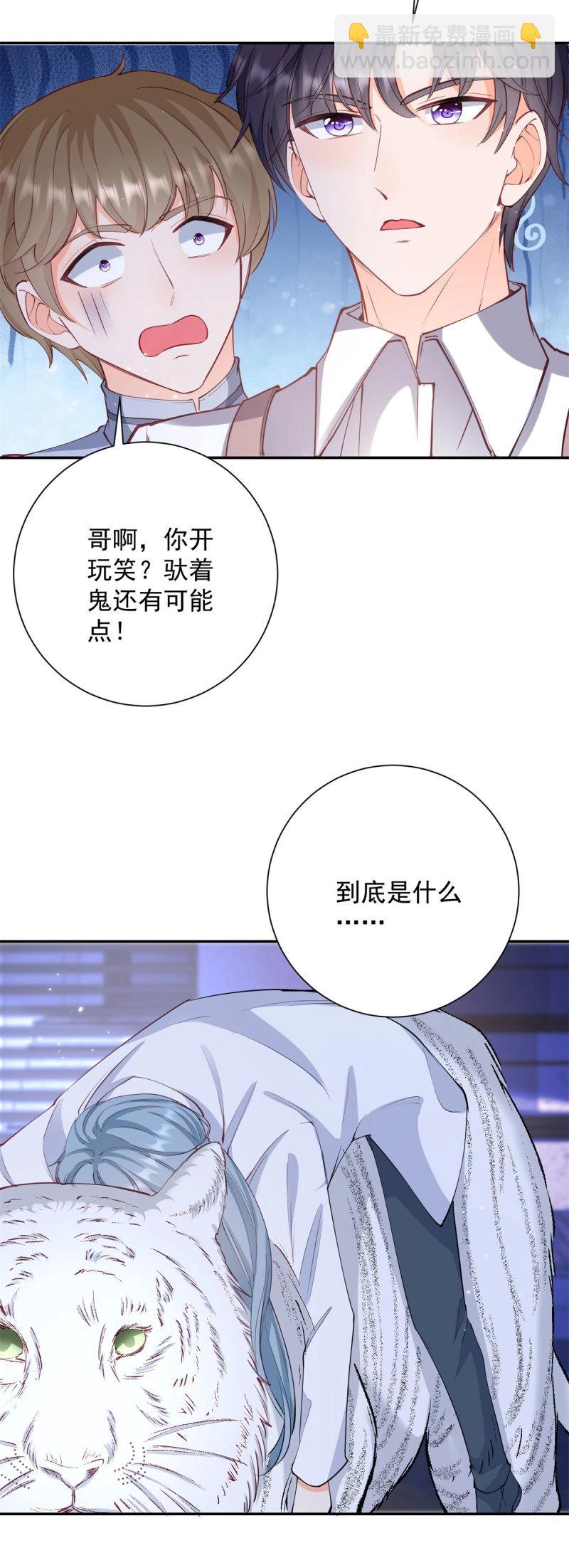 第402话 第395话 白虎-第398话