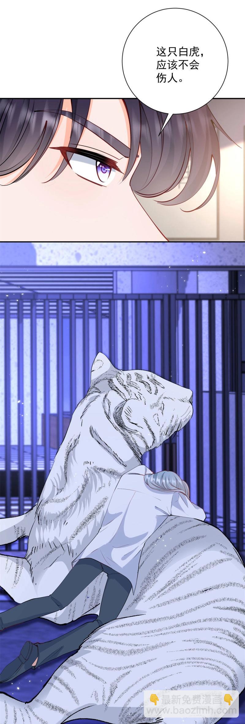 第402话 第395话 白虎-第398话