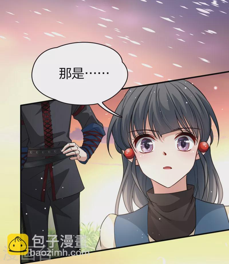 🍚寻找前世之旅 第2季第48话 维卡的秘密3 第15页