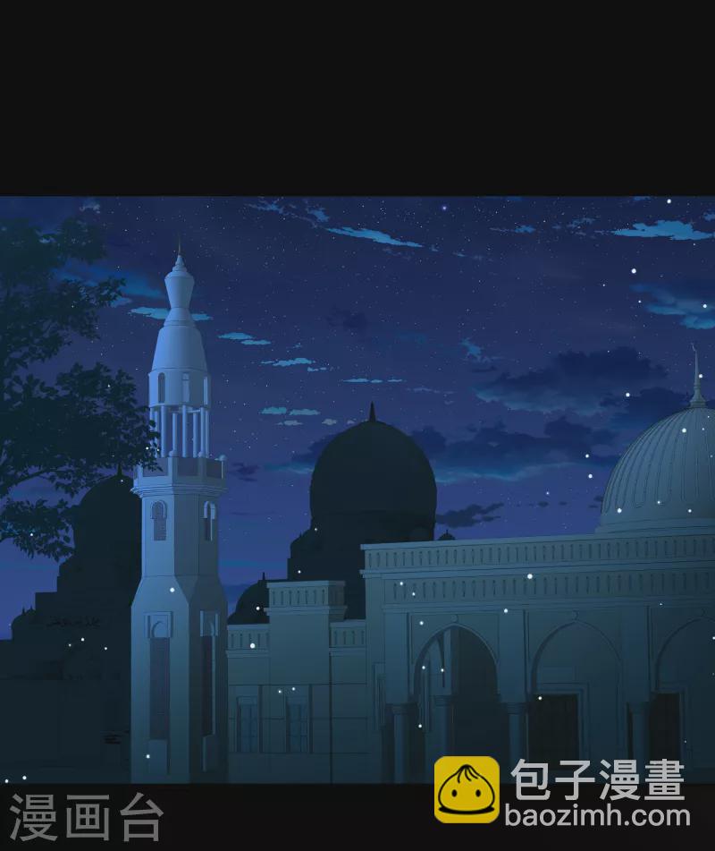 🍚寻找前世之旅 第2季第84话 圣城耶路撒冷4 第14页