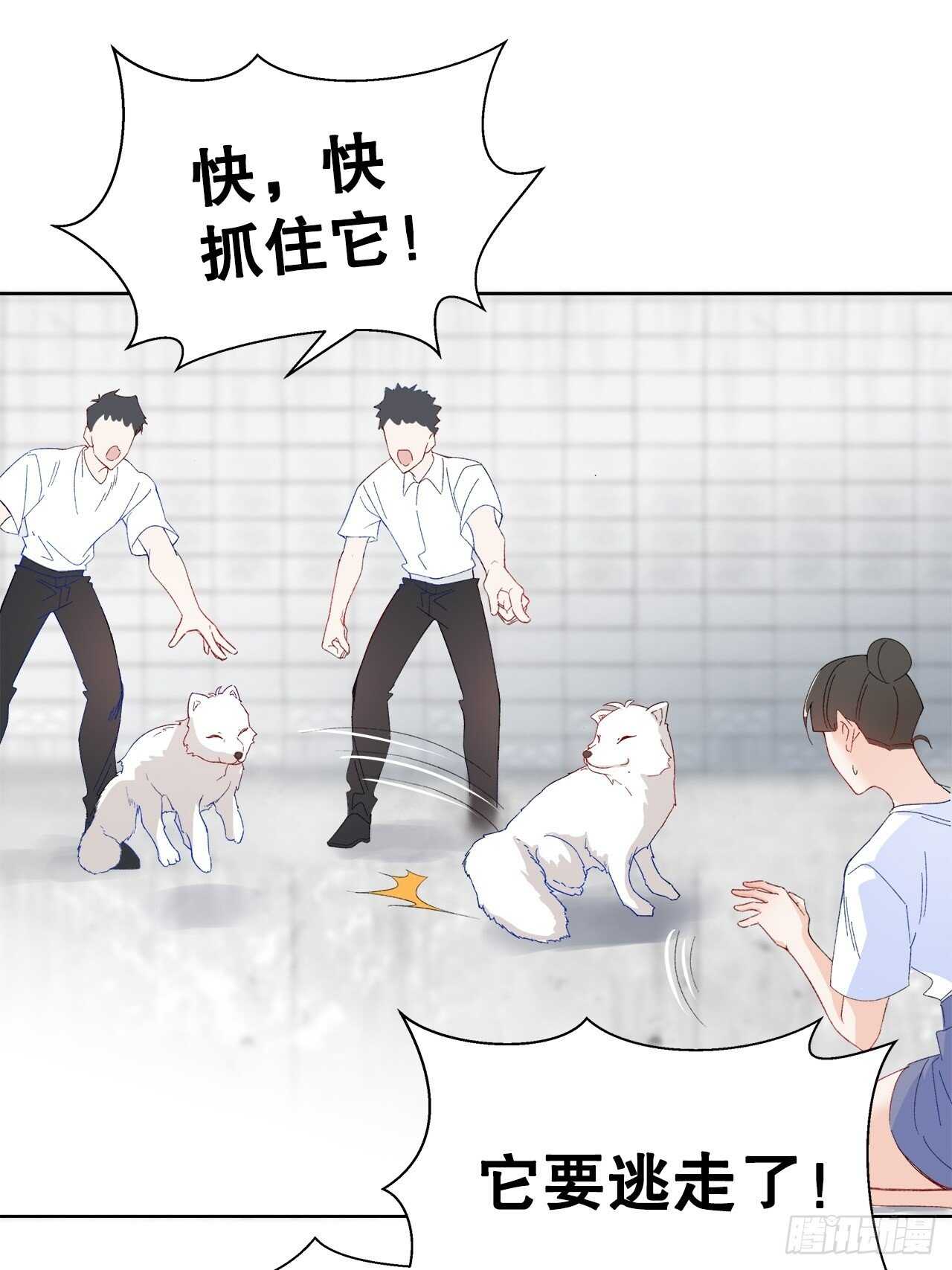 29.狐族之主(1/2)-第30话