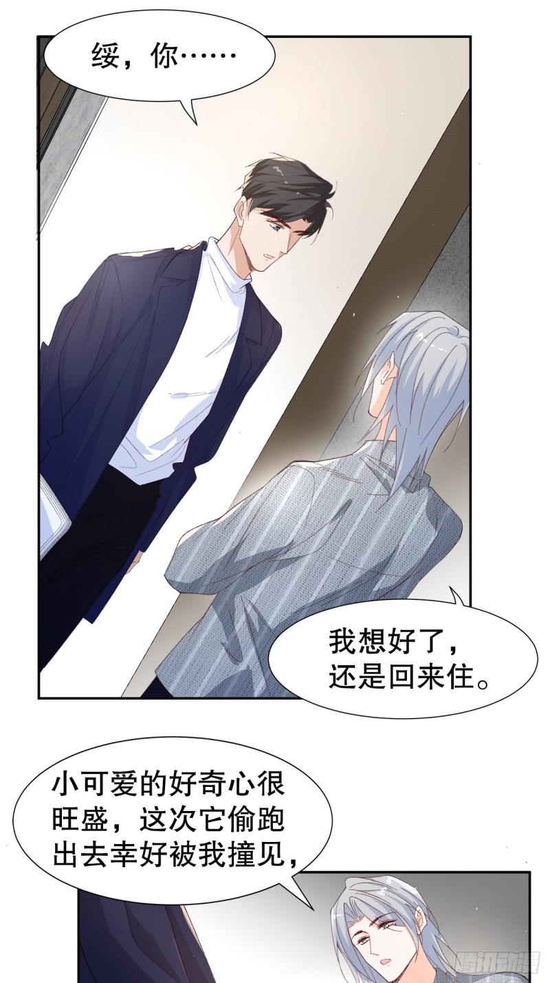 52.暂时休战-第48话