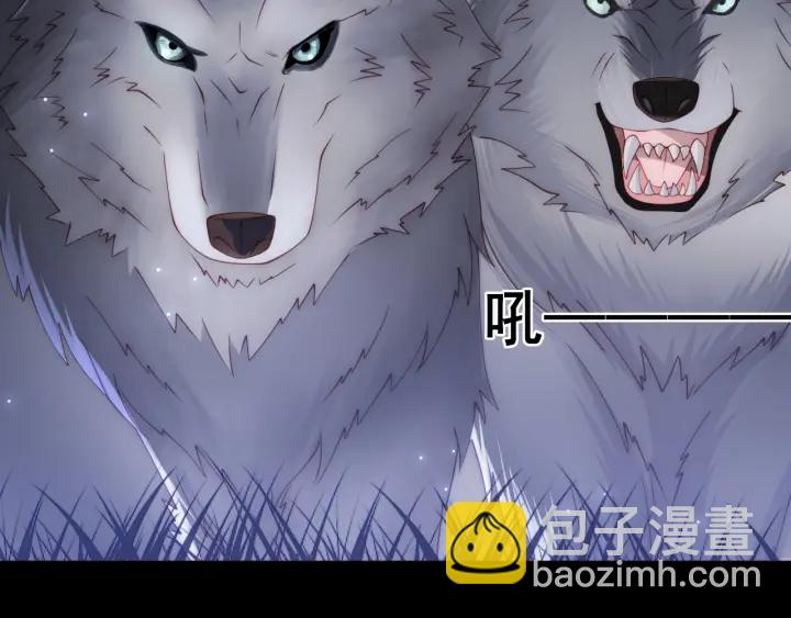 第136话 夜小狼出现(1/3)-第138话