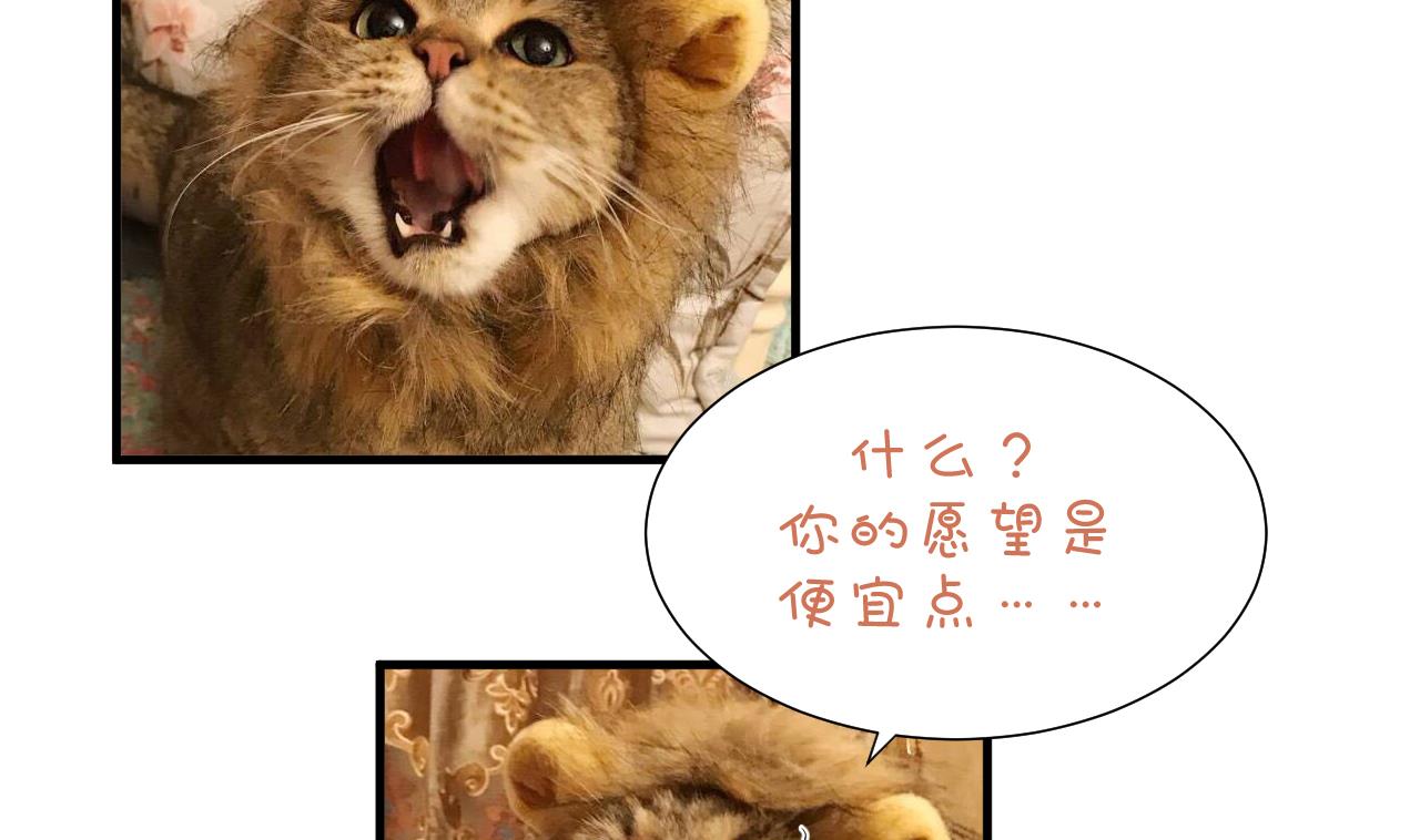 🍜养个少主斗渣男 第166话 出事 第43页