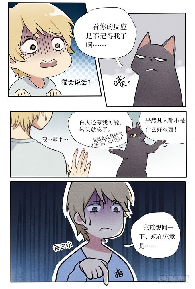 猫的报恩？-第2话
