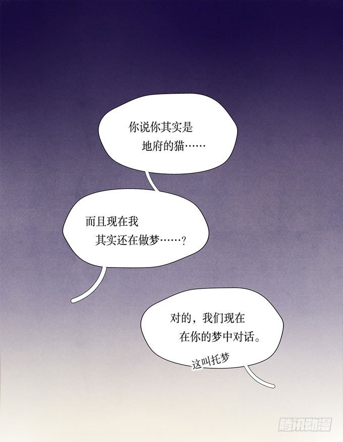 猫的报恩？-第2话