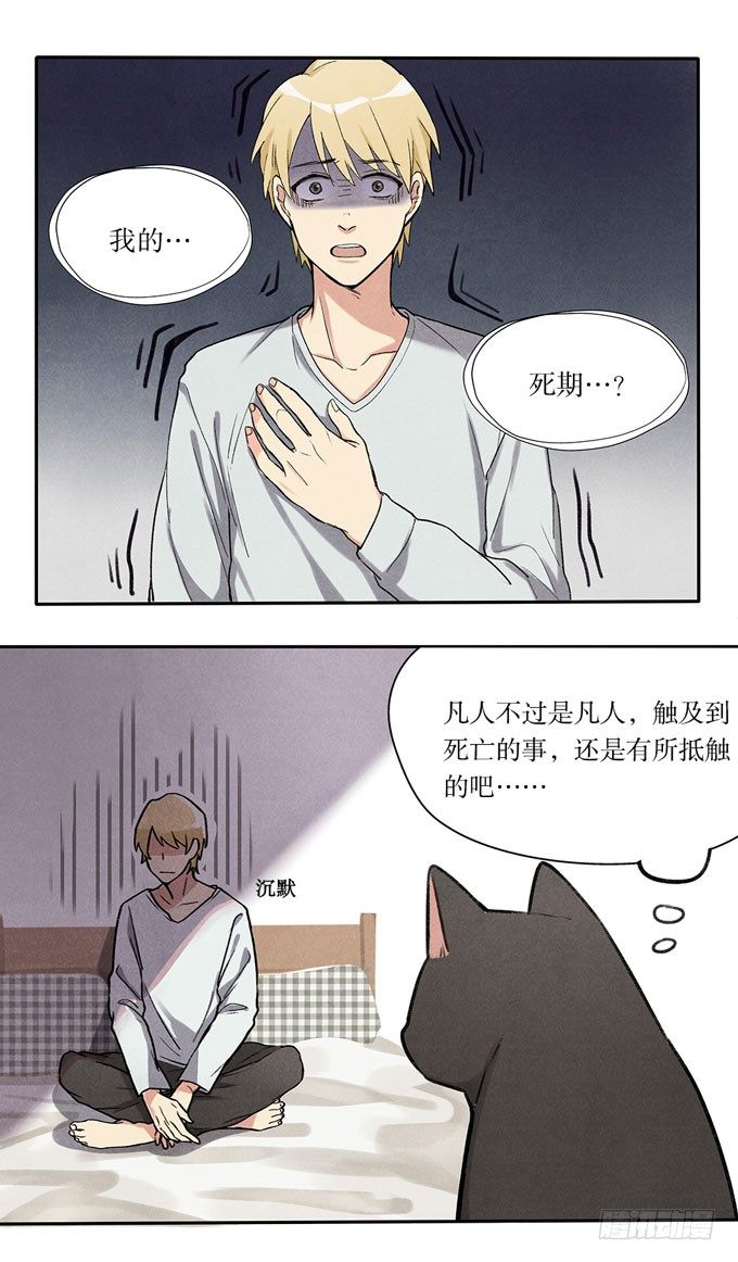猫的报恩？-第2话