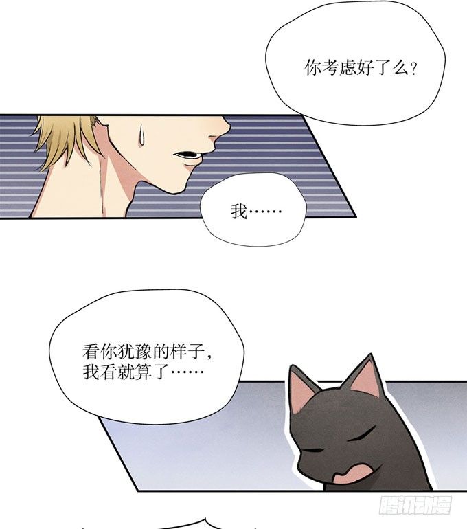 猫的报恩？-第2话