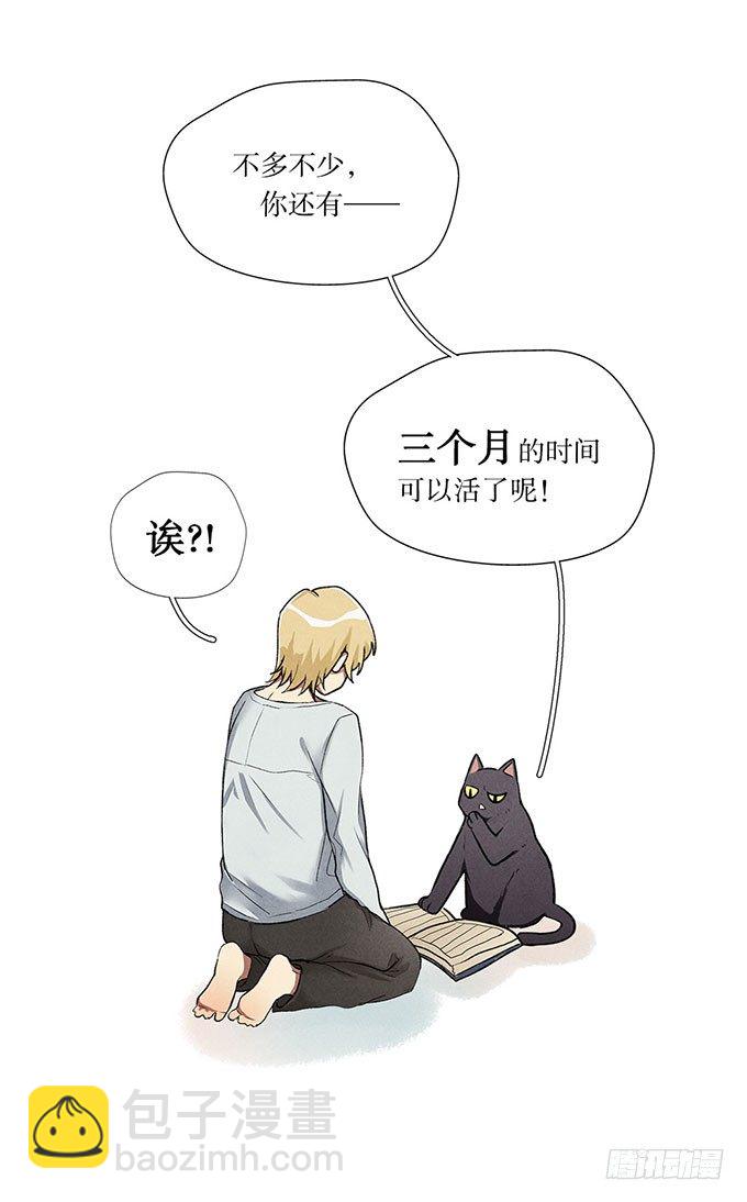 猫的报恩？-第2话