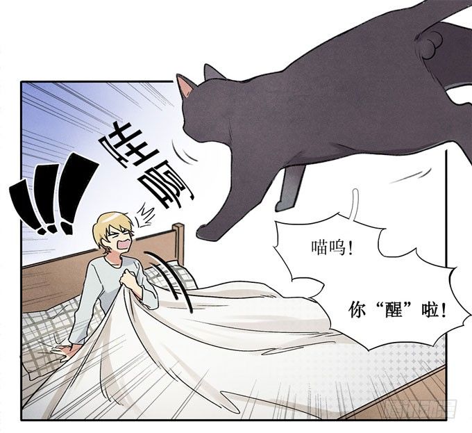 猫的报恩？-第2话