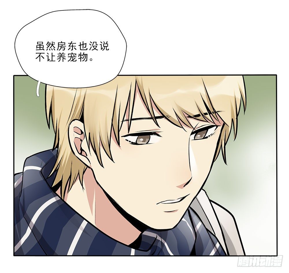 不定期番外篇3.0-第24话