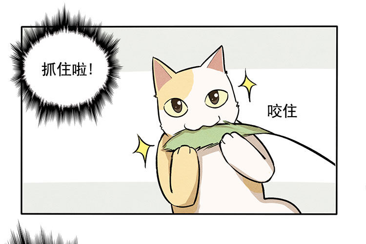 意想不到-第8话