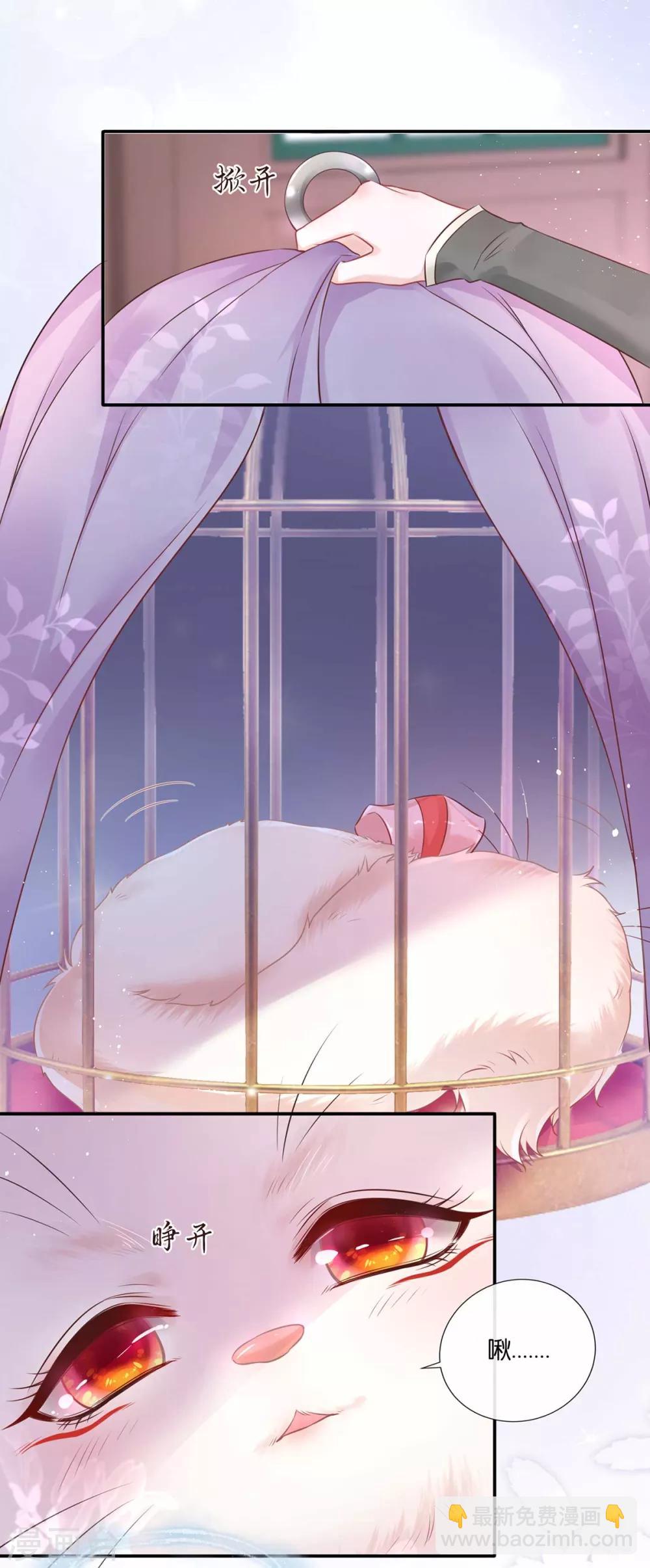 第1话 以牙还牙(1/2)-第2话
