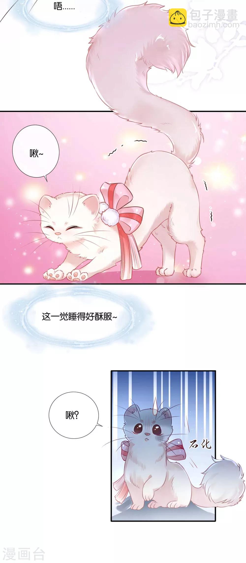 第1话 以牙还牙(1/2)-第2话