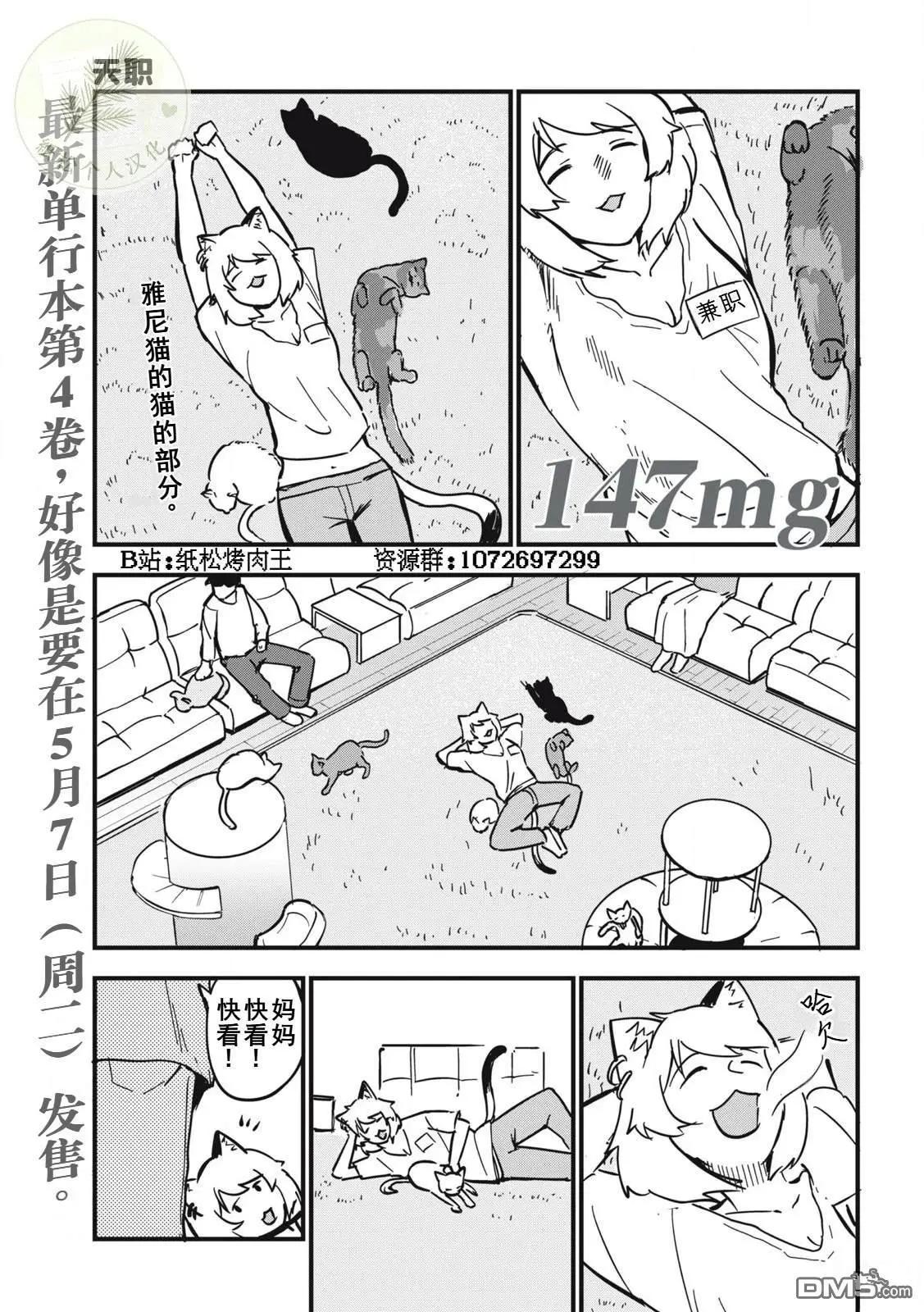 雅尼猫 第147话