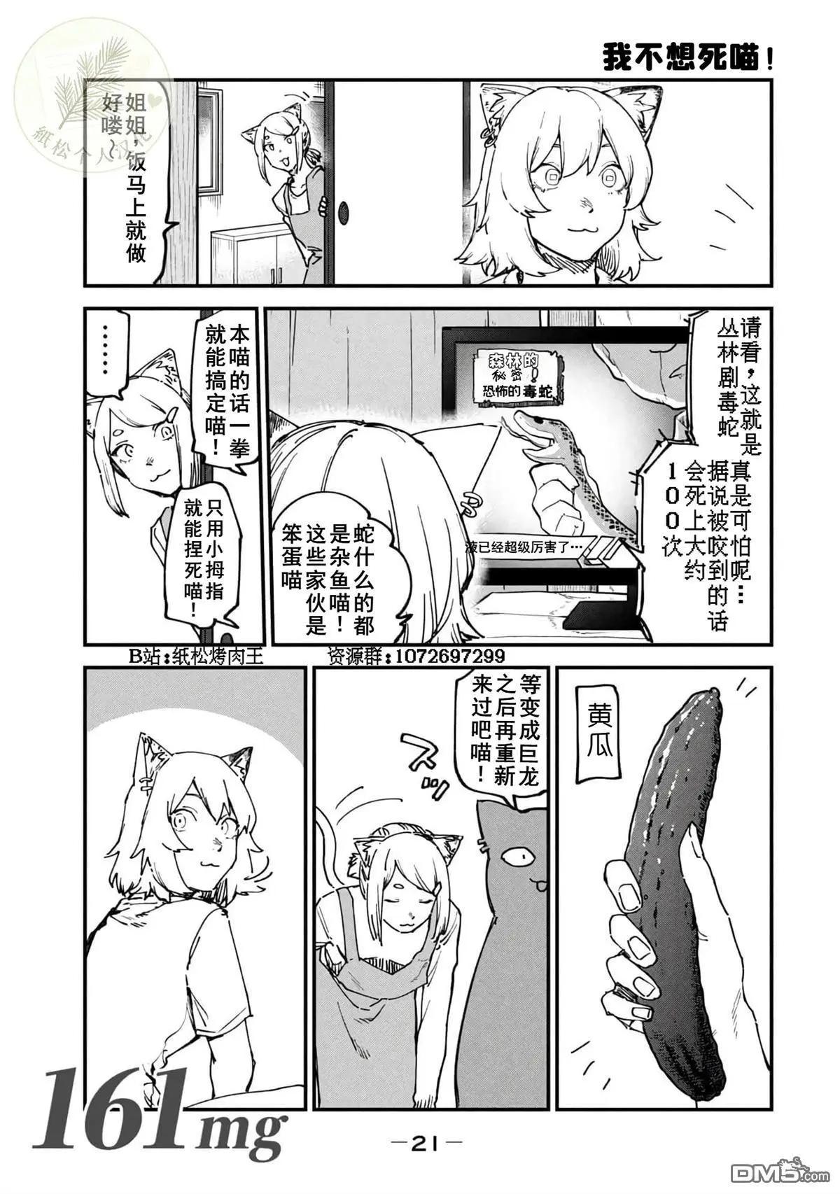 雅尼猫 第161话