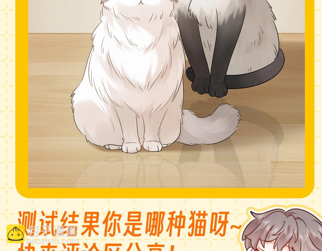 第6期 整活企划：测测你是哪种猫猫？-第26话