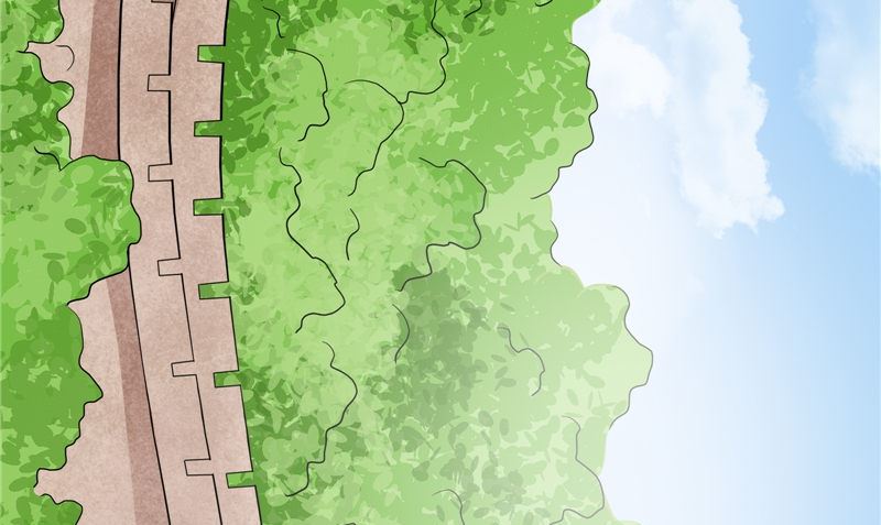 第43话 溃烂的皮肤(1/3)-第44话