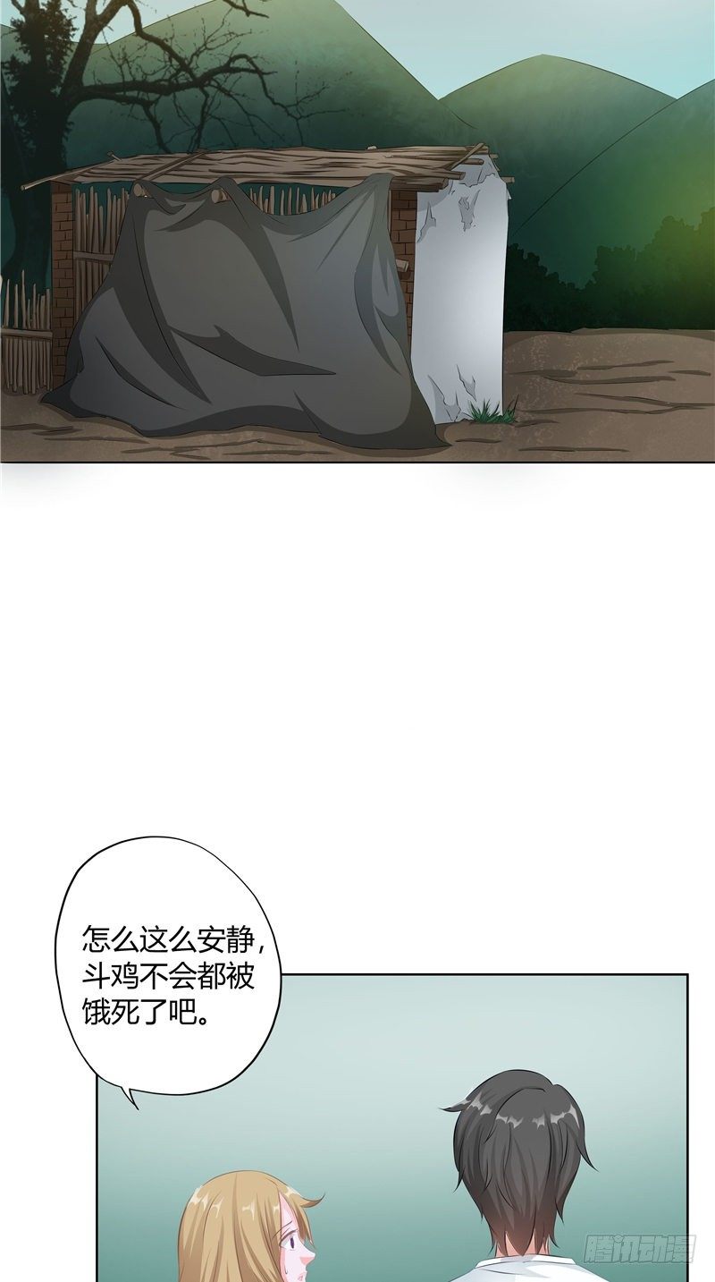 第9话 斗鸡-第10话