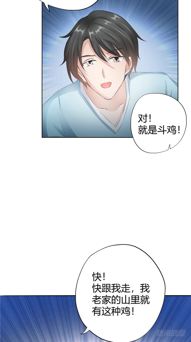 第9话 斗鸡-第10话