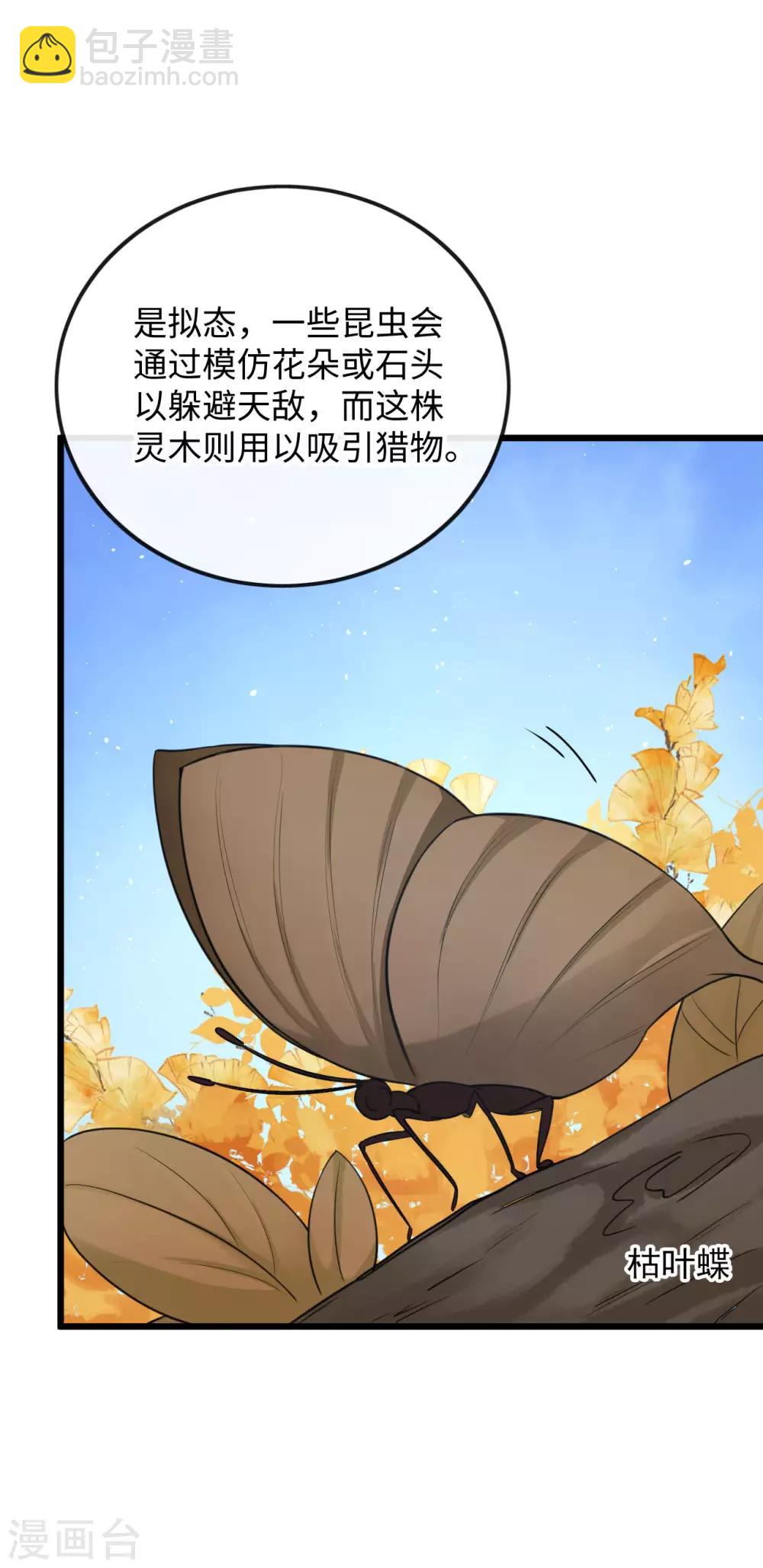 第122话 异化的灵木-第126话