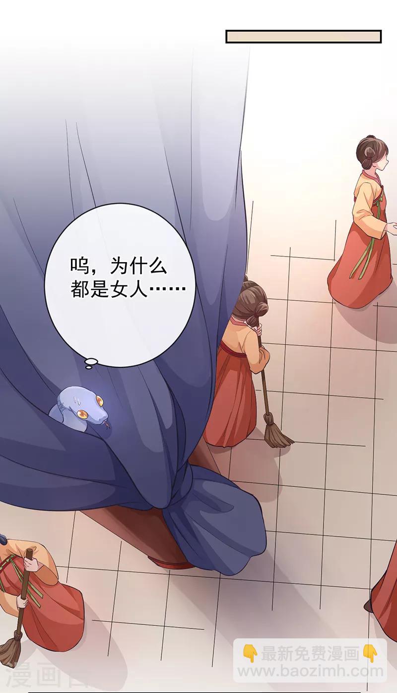 第52话 这是我的蛇蛇-第56话