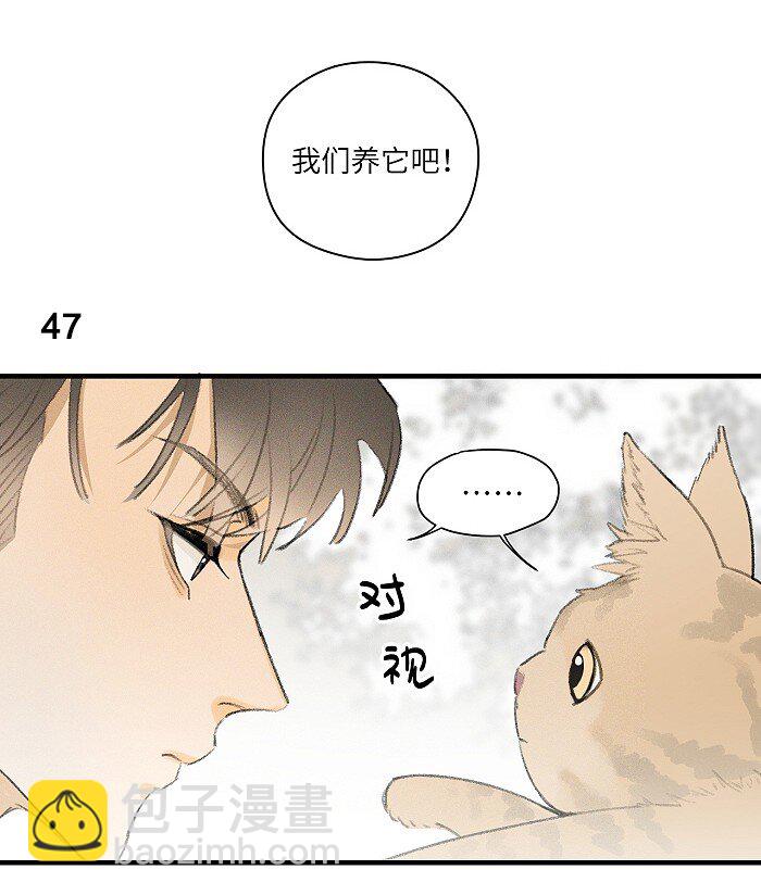 22 养猫-第24话