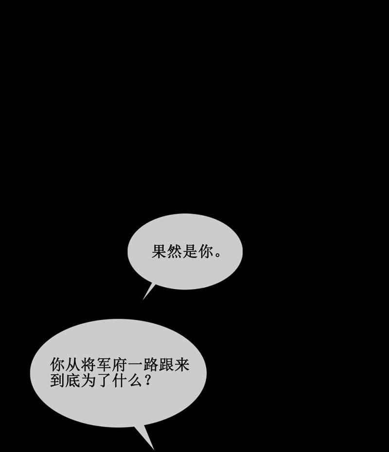 第卅九回 追击(1/2)-第46话