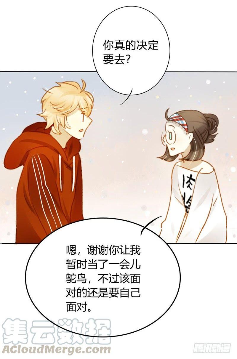 做鸵鸟（下）-第236话