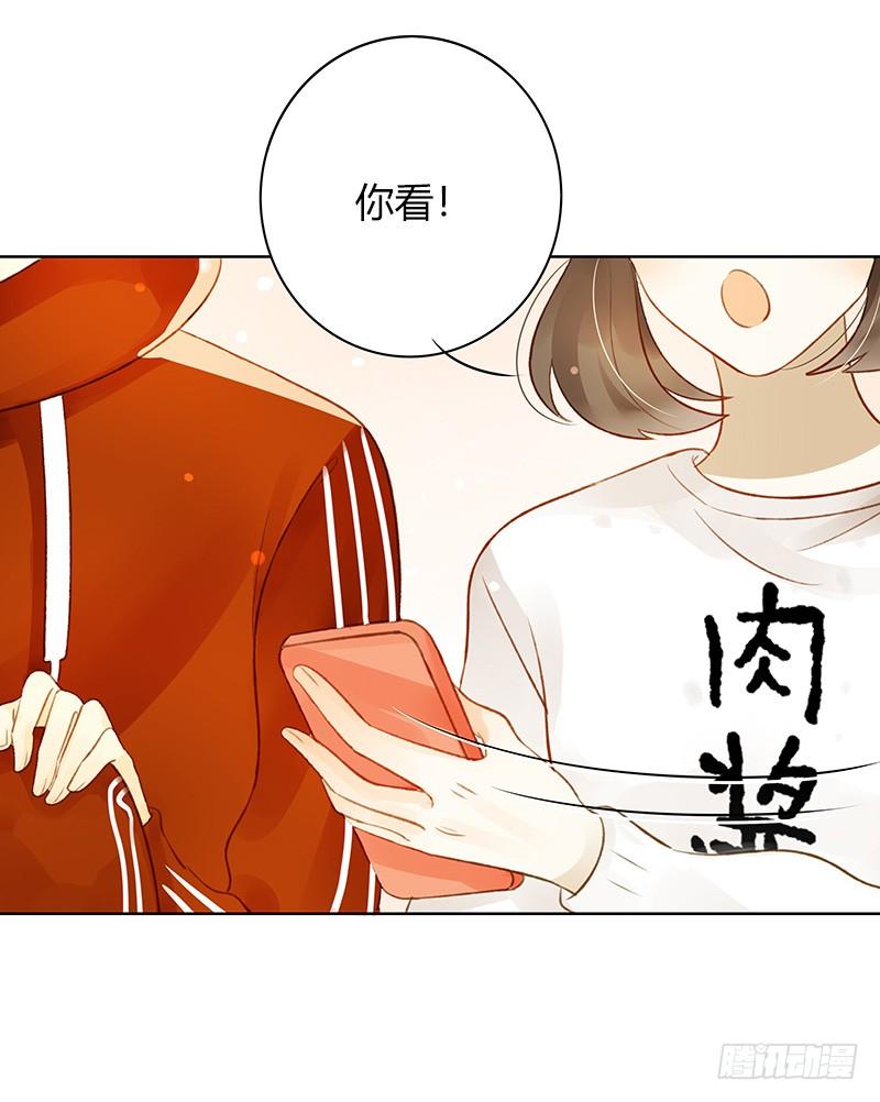 粉丝会长（下）-第254话