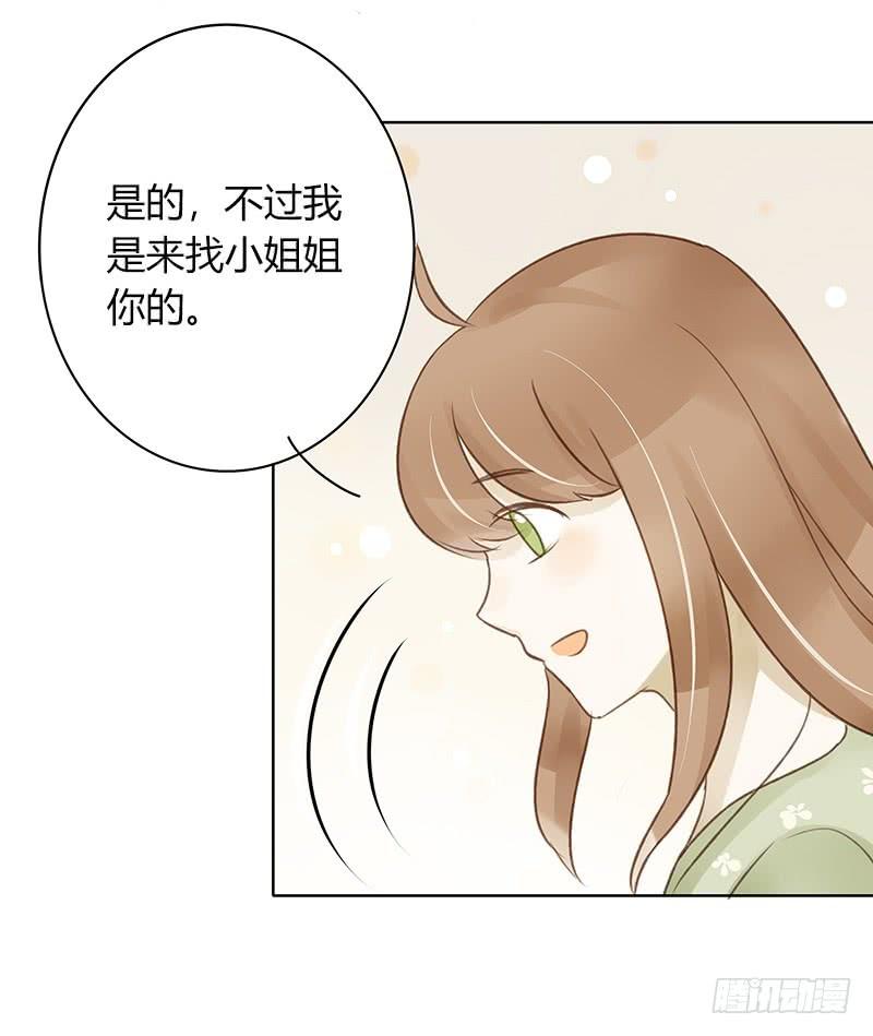 原谅（上）-第294话